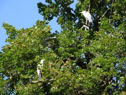 Tiergarten Schönbrunn am 03.10.2025